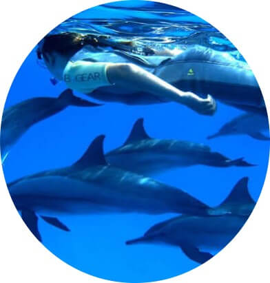 Retraites Croisières Bien-Etre & Dauphins en Mer Rouge